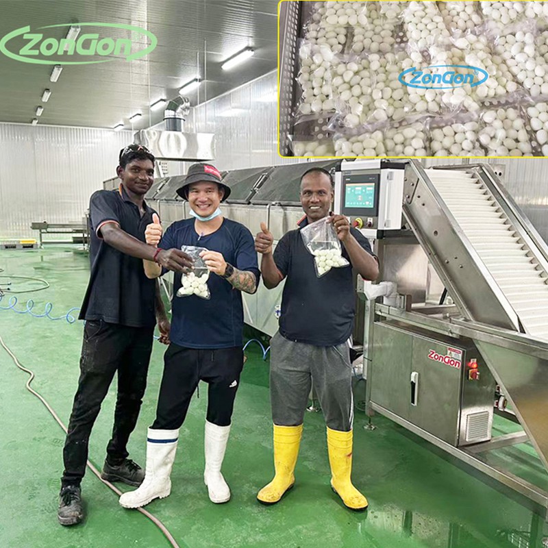 Automatische kwagellichaampaalmachine